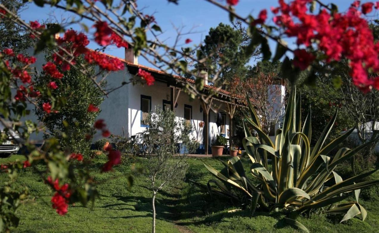 Monte Da Choca Guest House Sao Teotonio Bagian luar foto